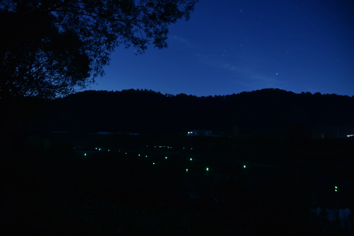 DSC_0094광1.jpg