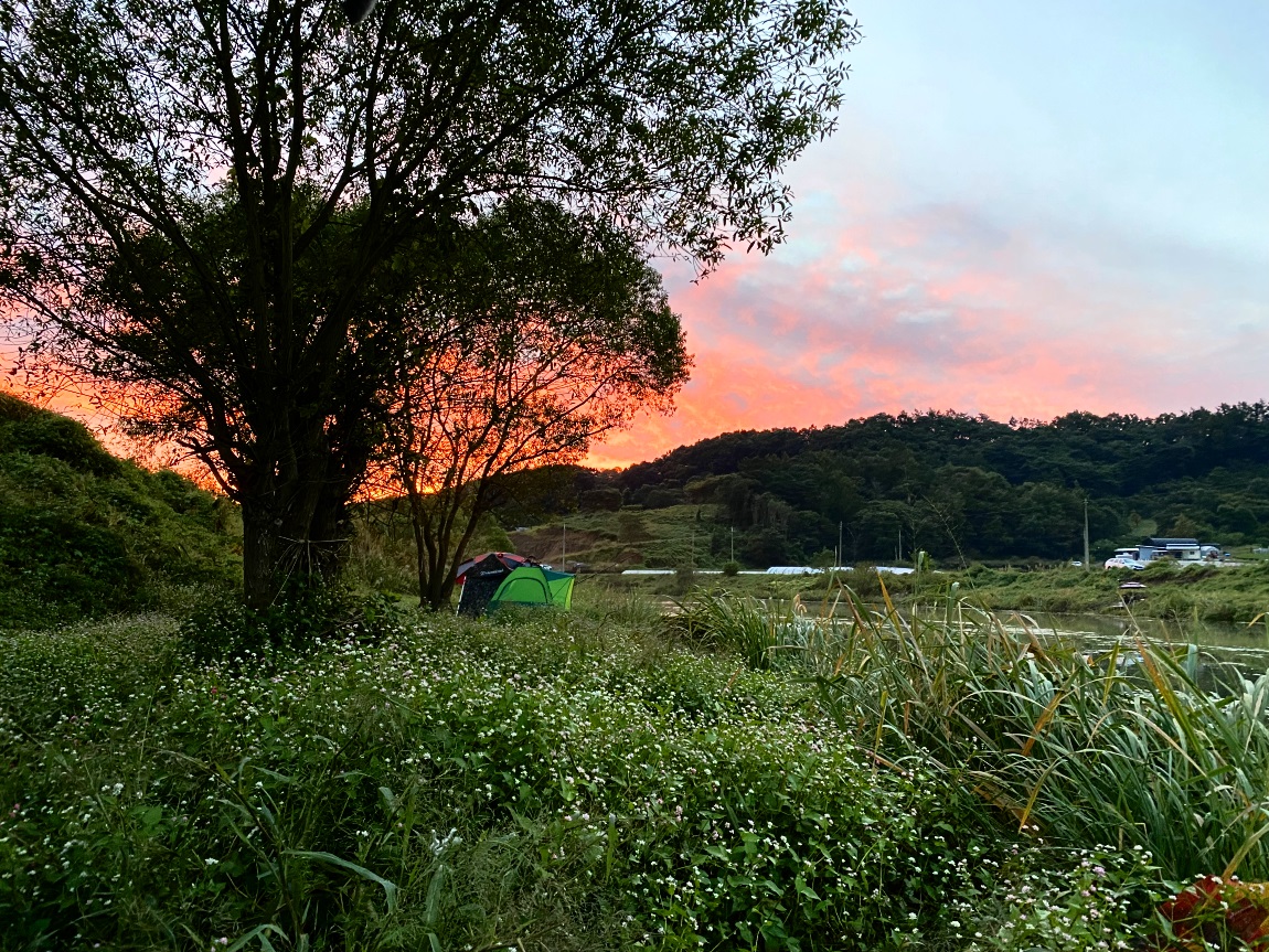 IMG_2515광1.jpg