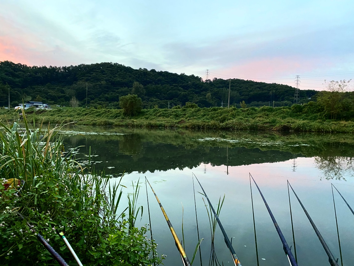 IMG_2516광1.jpg