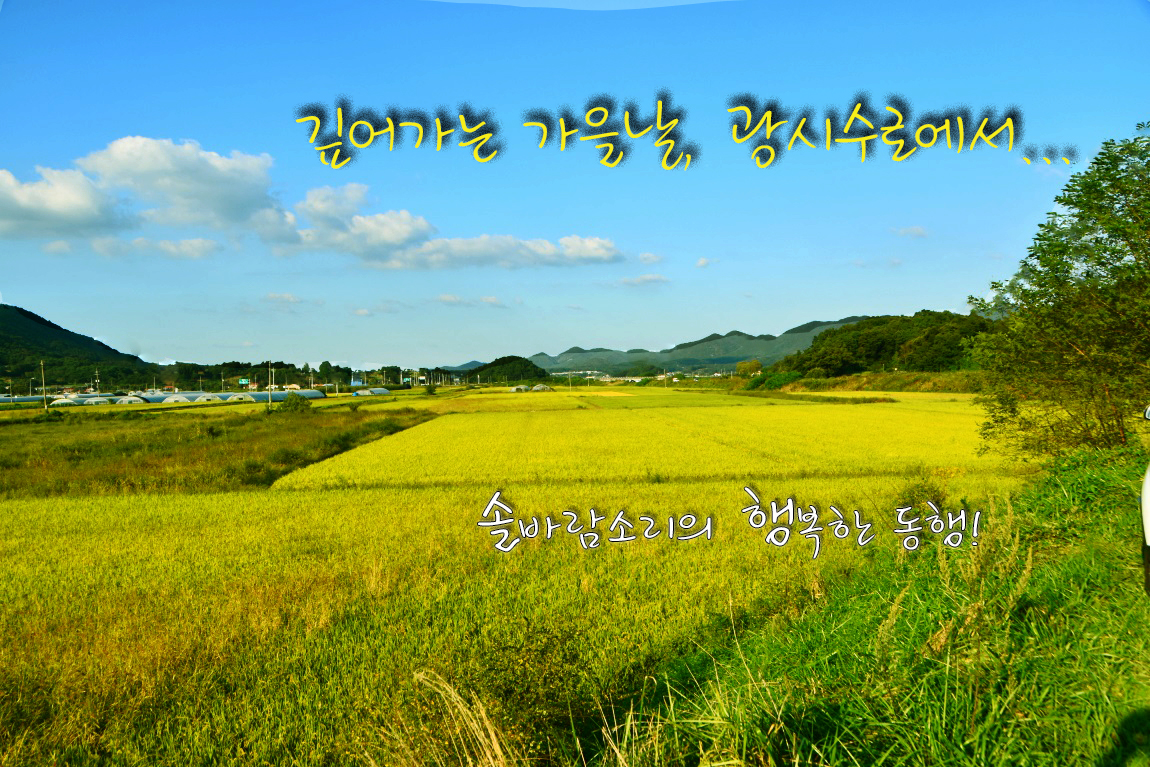 솔바람소리 광시수로 20210927173504_zmrv.jpg