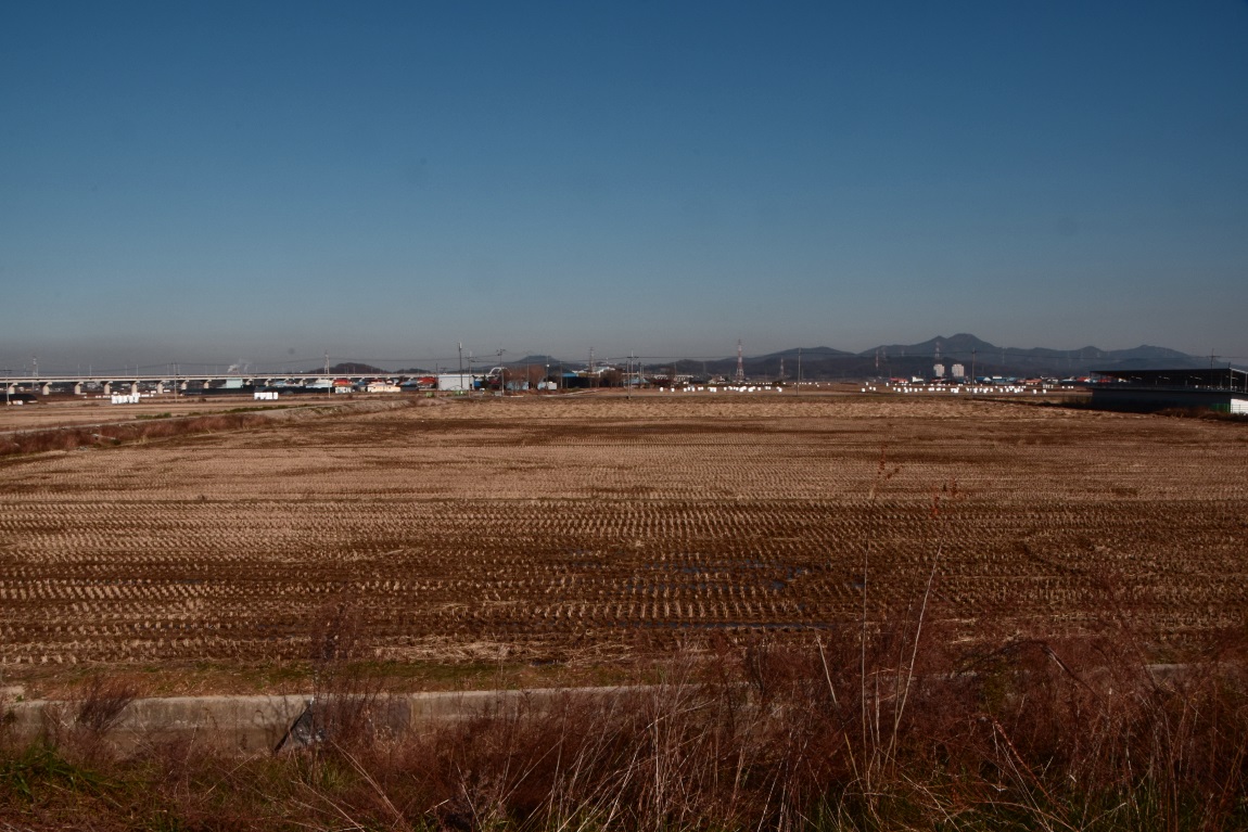 DSC_00071.jpg