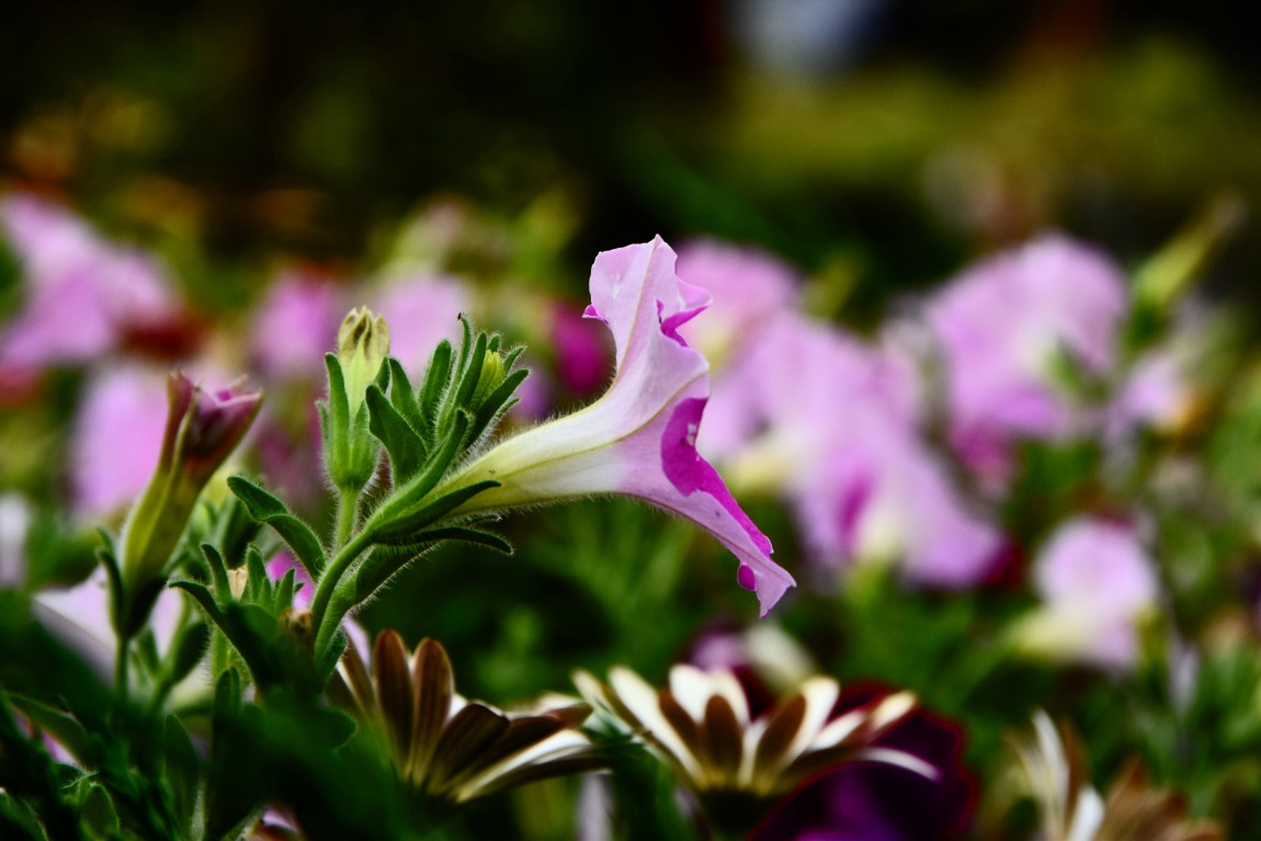 DSC_0119아1.jpg