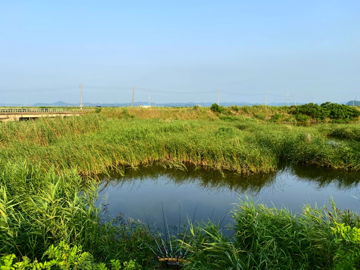 IMG_3969대1.jpg