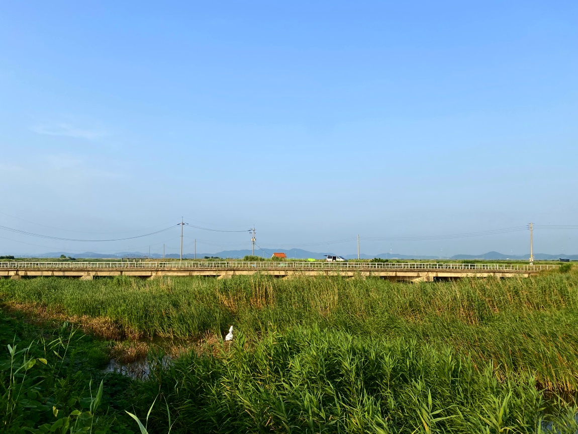 IMG_3971대1.jpg