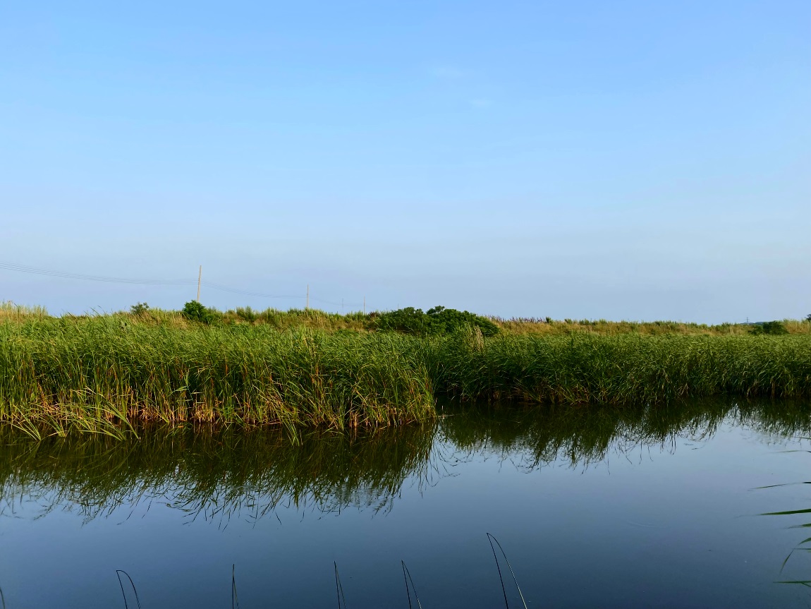 IMG_3978대1.jpg