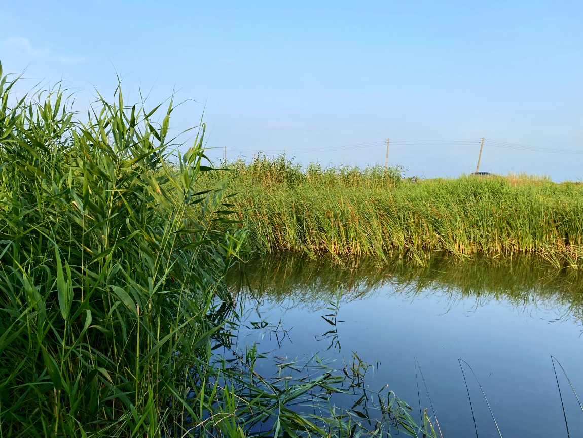 IMG_3977대1.jpg