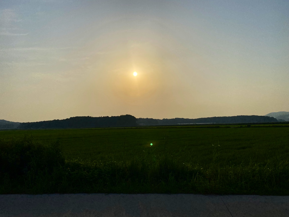 IMG_3979대1.jpg