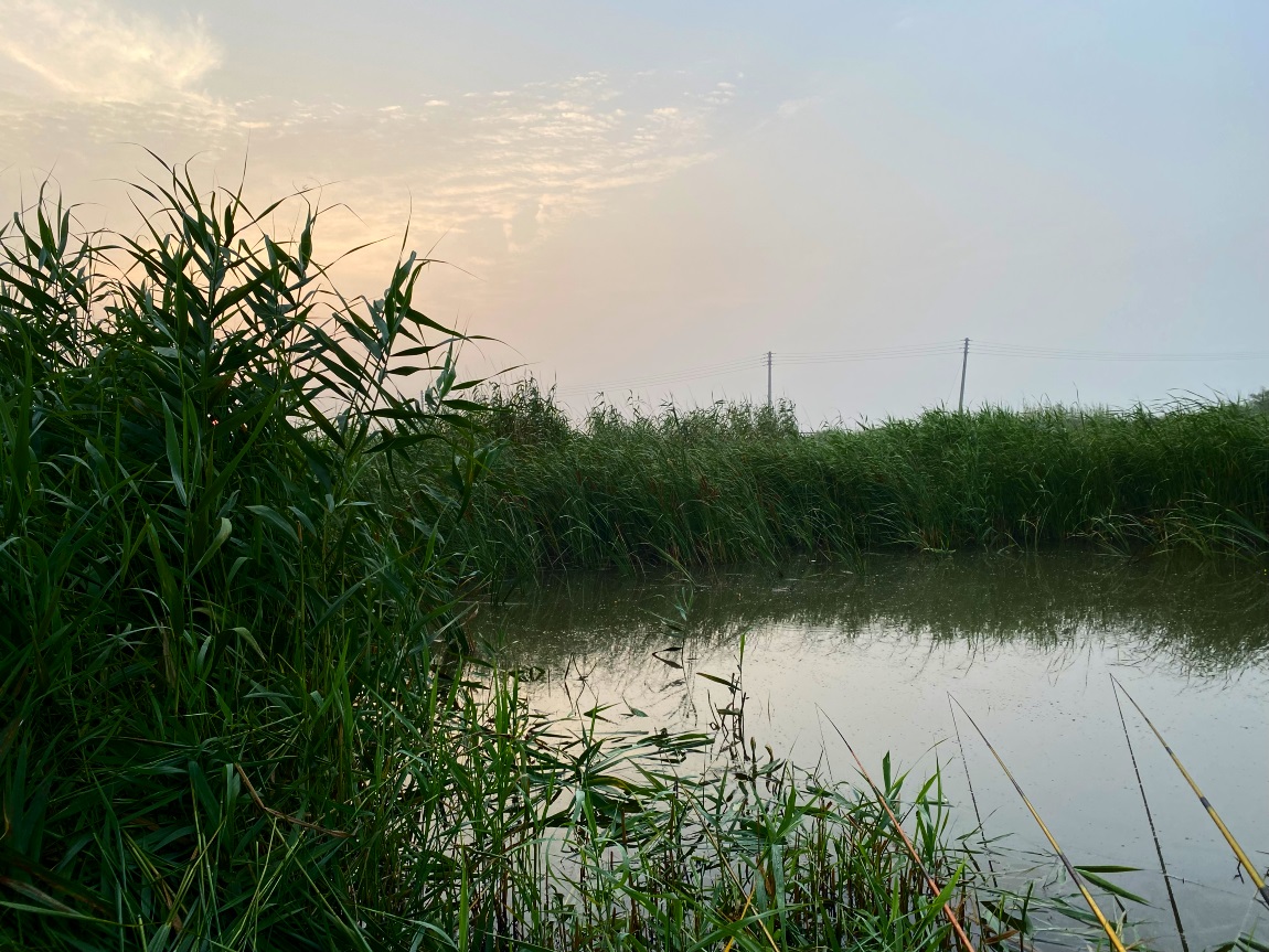 IMG_3985대1.jpg