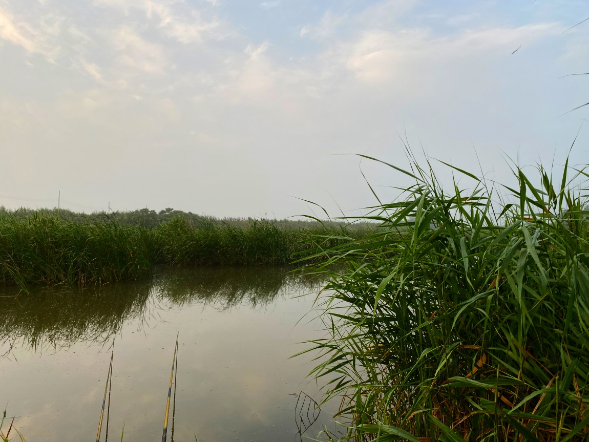 IMG_3987대1.jpg
