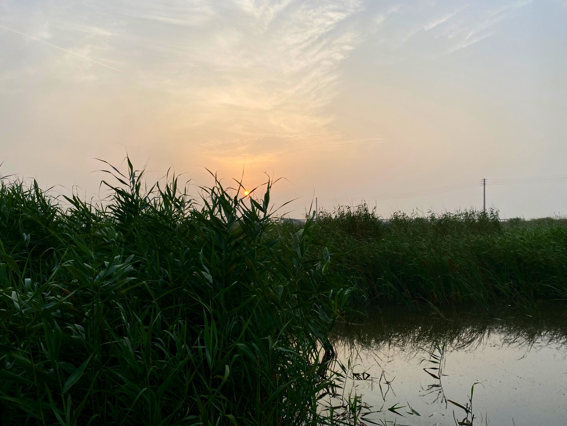 IMG_3988대1.jpg