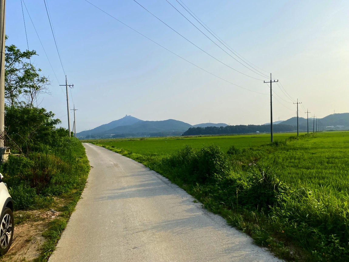 IMG_3968대1.jpg