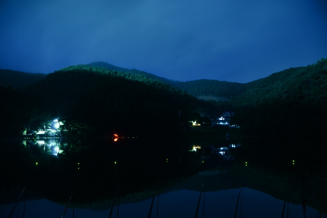 DSC_00061.jpg