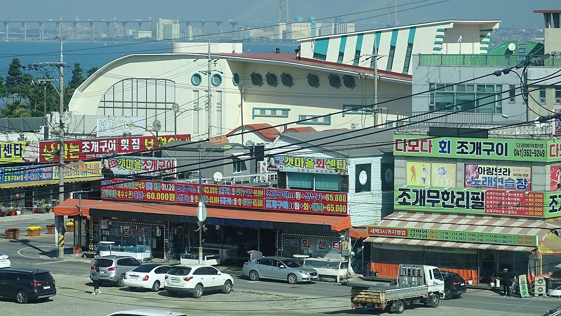낙하산 > 낙하산의 낚시여행...(충남 당진 삽교호 부장리수로) : 낚시사랑