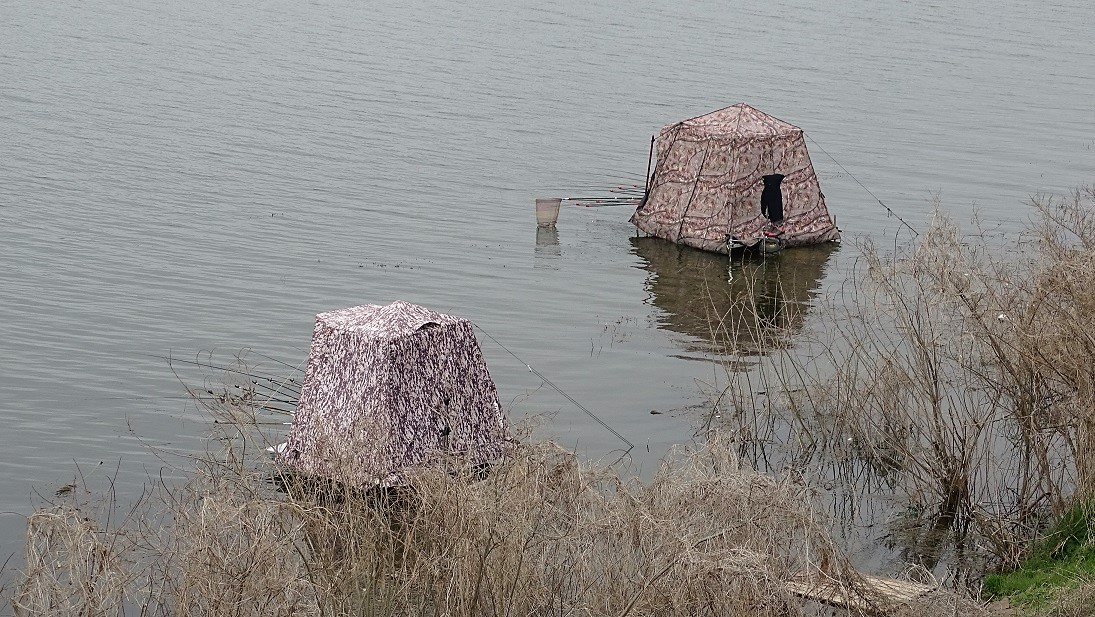 8.JPG