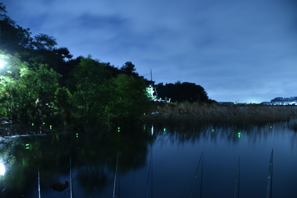 DSC_00271.jpg