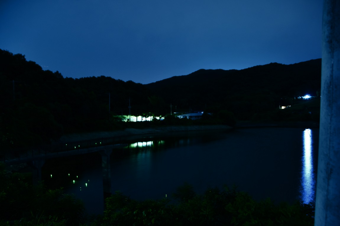 DSC_01351.jpg