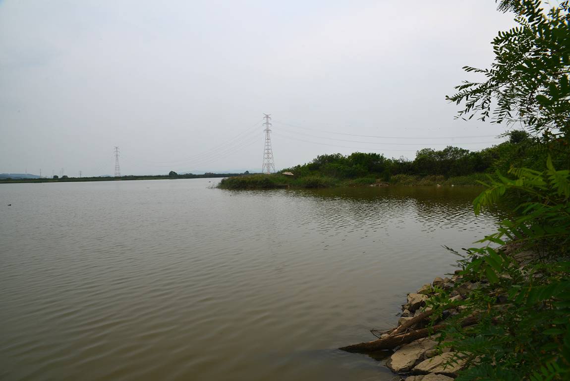 ALA_1807.jpg