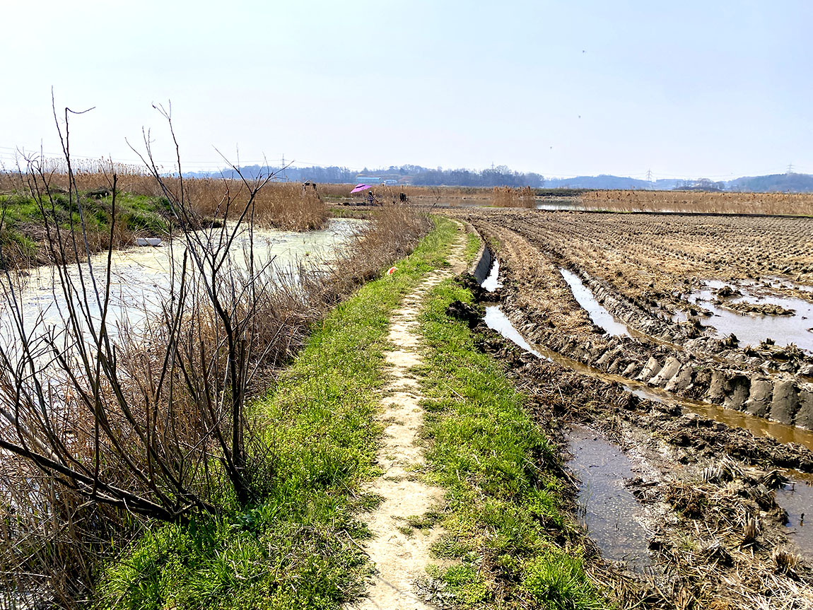 IMG_7293ȫ1.jpg