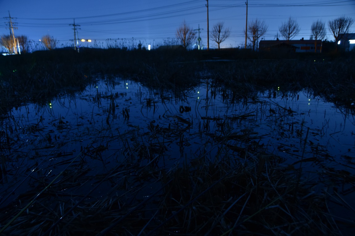 20231206162327_bddc.jpg
