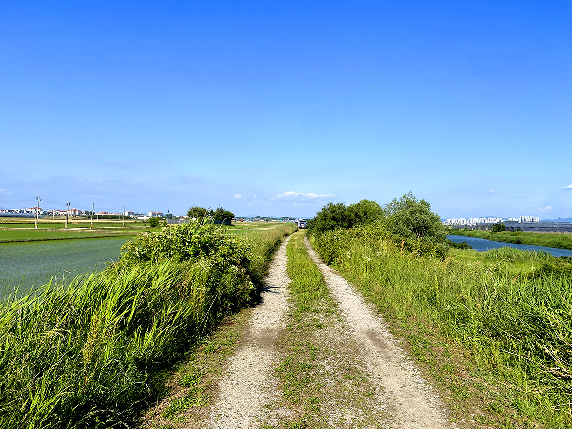 IMG_76041.jpg
