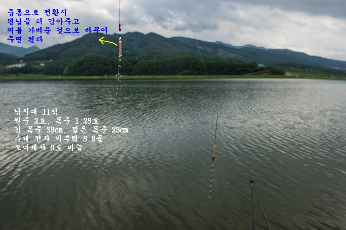 송우 > 소양댐 수위 183.6m, 대떡 프로젝트 마지막!!! : 낚시사랑