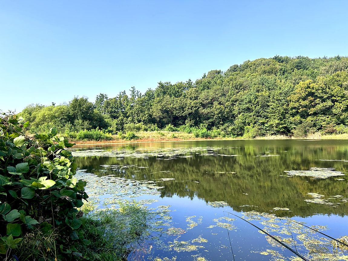 IMG_8293õ1.jpg