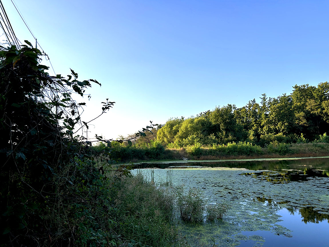 IMG_8305õ1.jpg