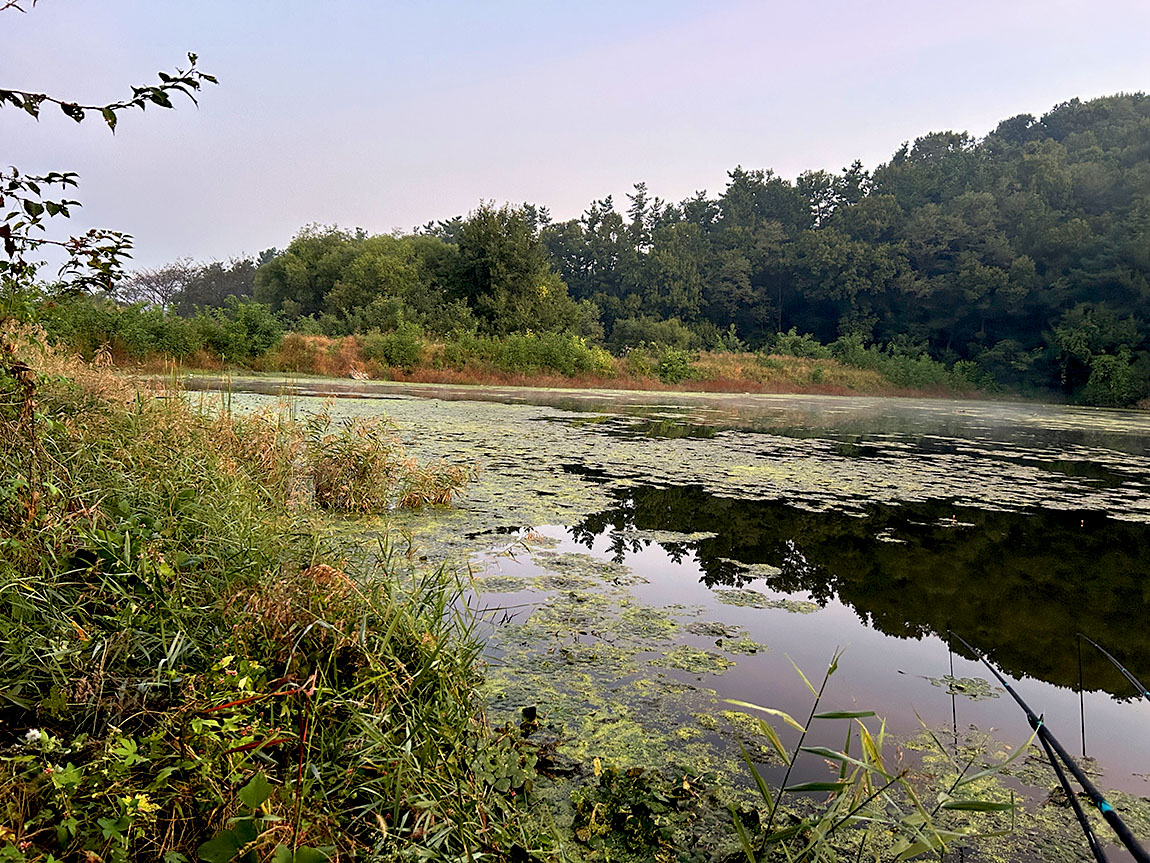 IMG_8317õ1.jpg