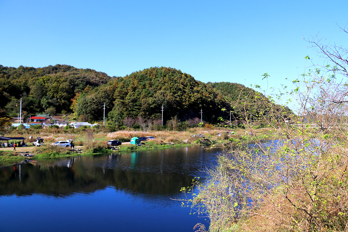 IMG_82201.jpg