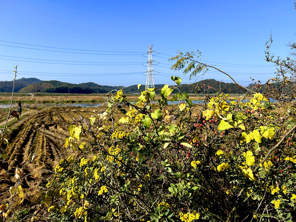 IMG_8484100.jpg