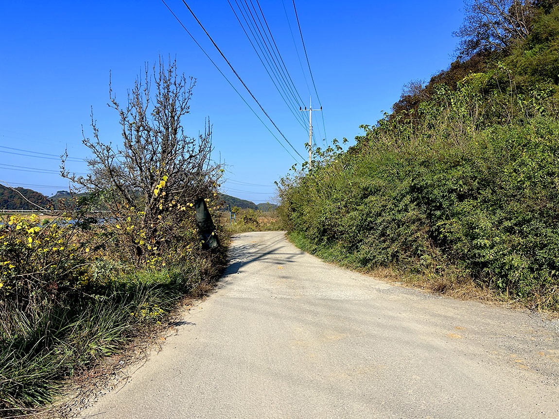 IMG_8485100.jpg