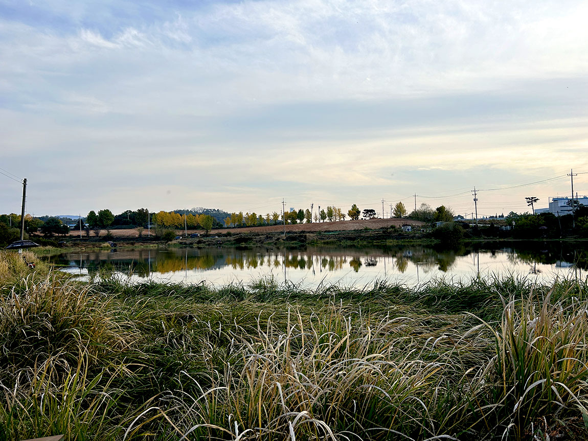 IMG_85271.jpg