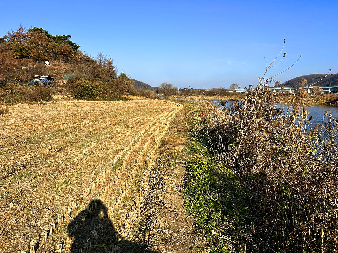 IMG_85811.jpg