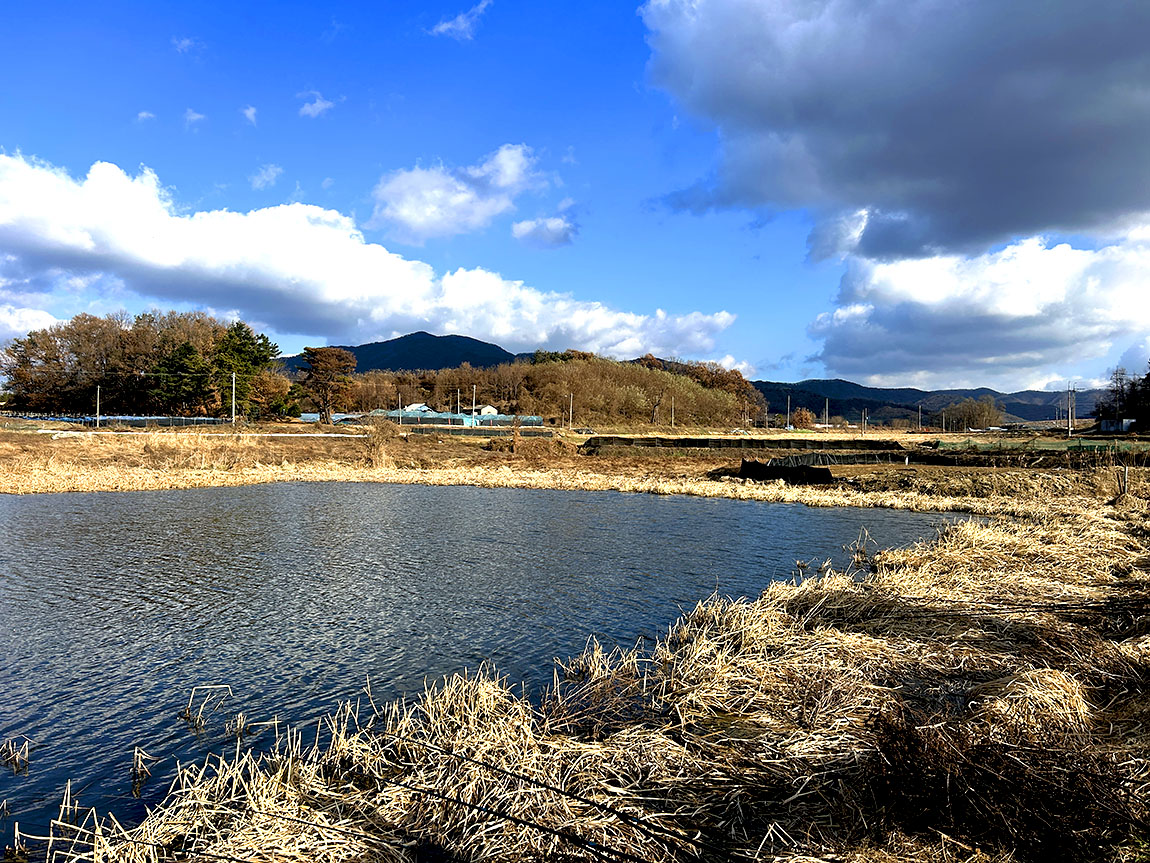 IMG_8679û1.jpg