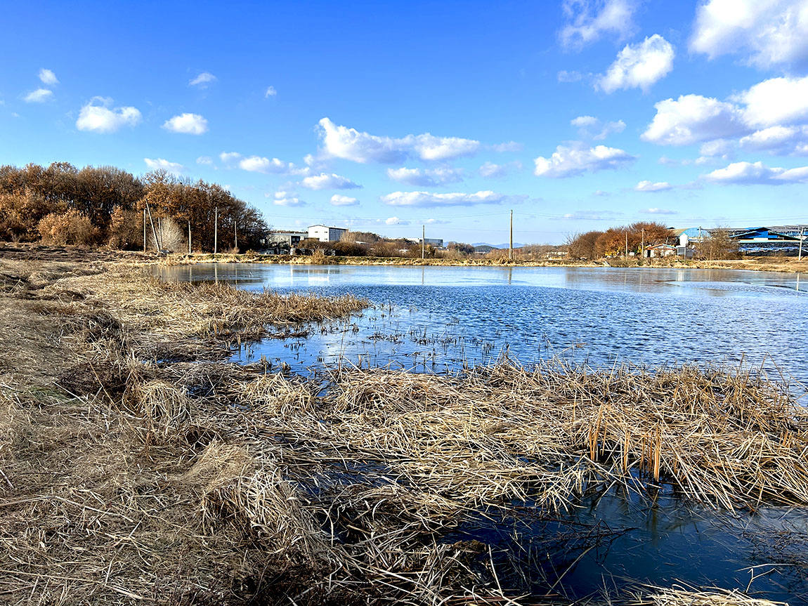IMG_8686û1.jpg