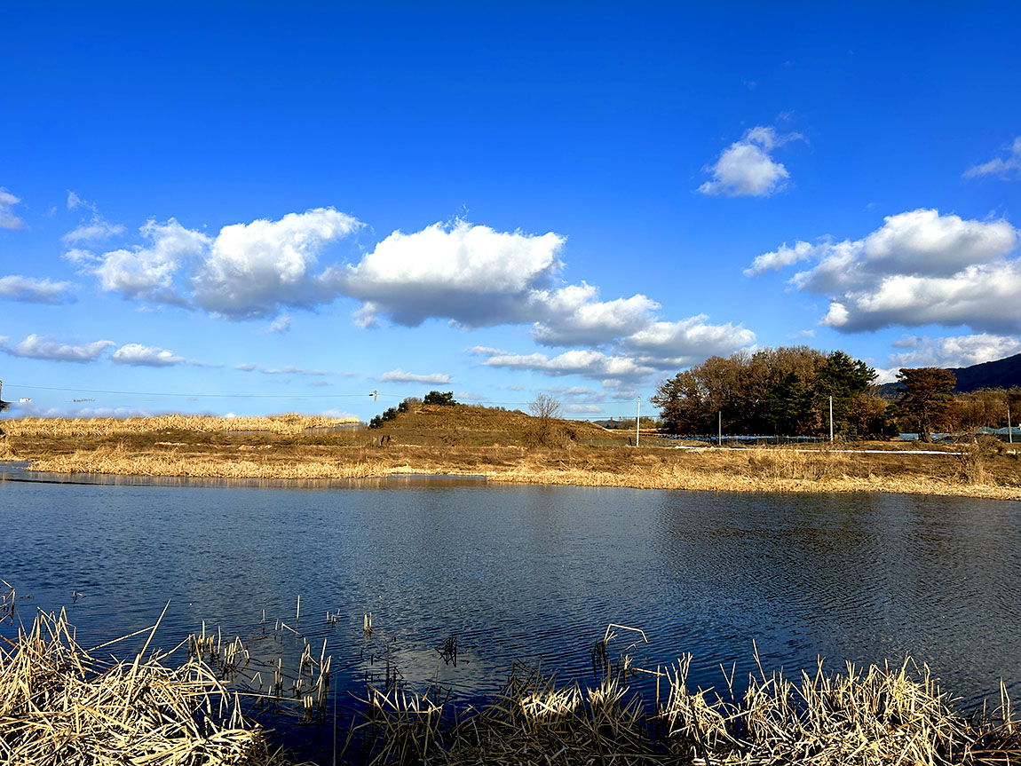 IMG_8692û1.jpg