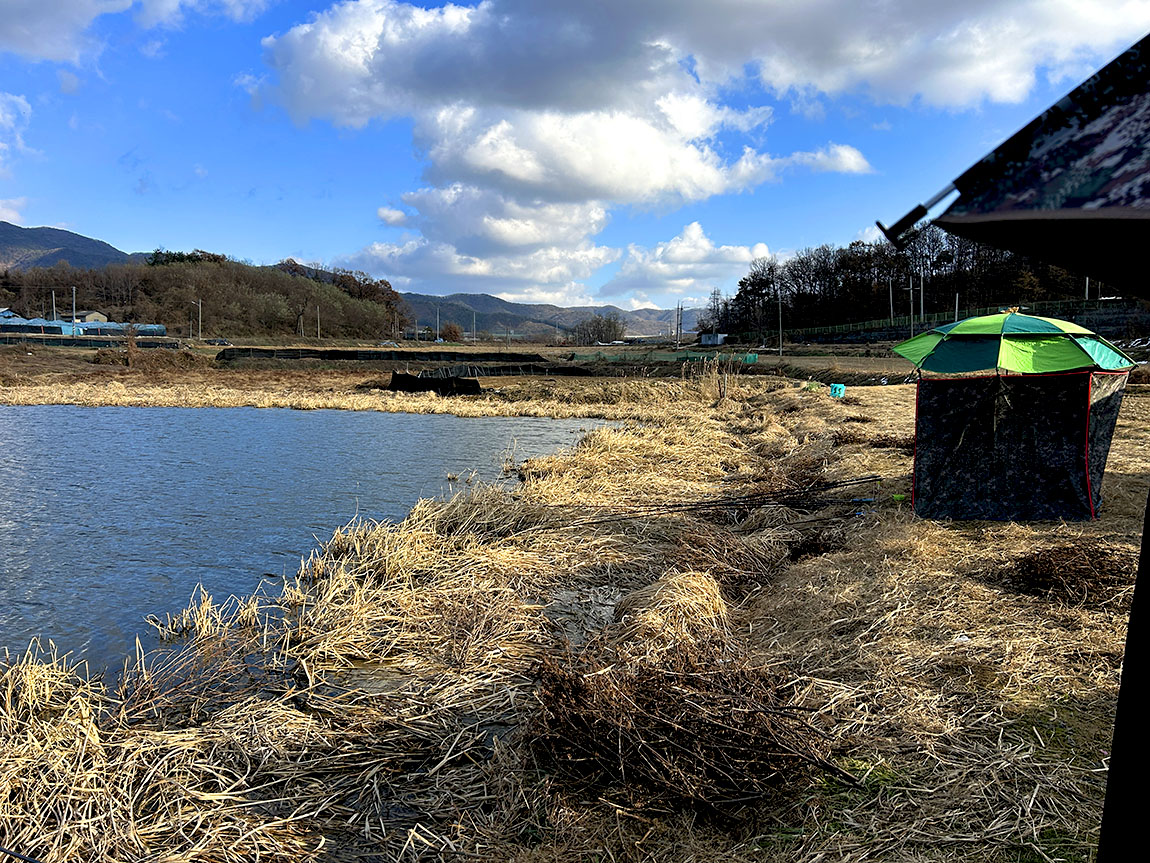 IMG_8688û1.jpg