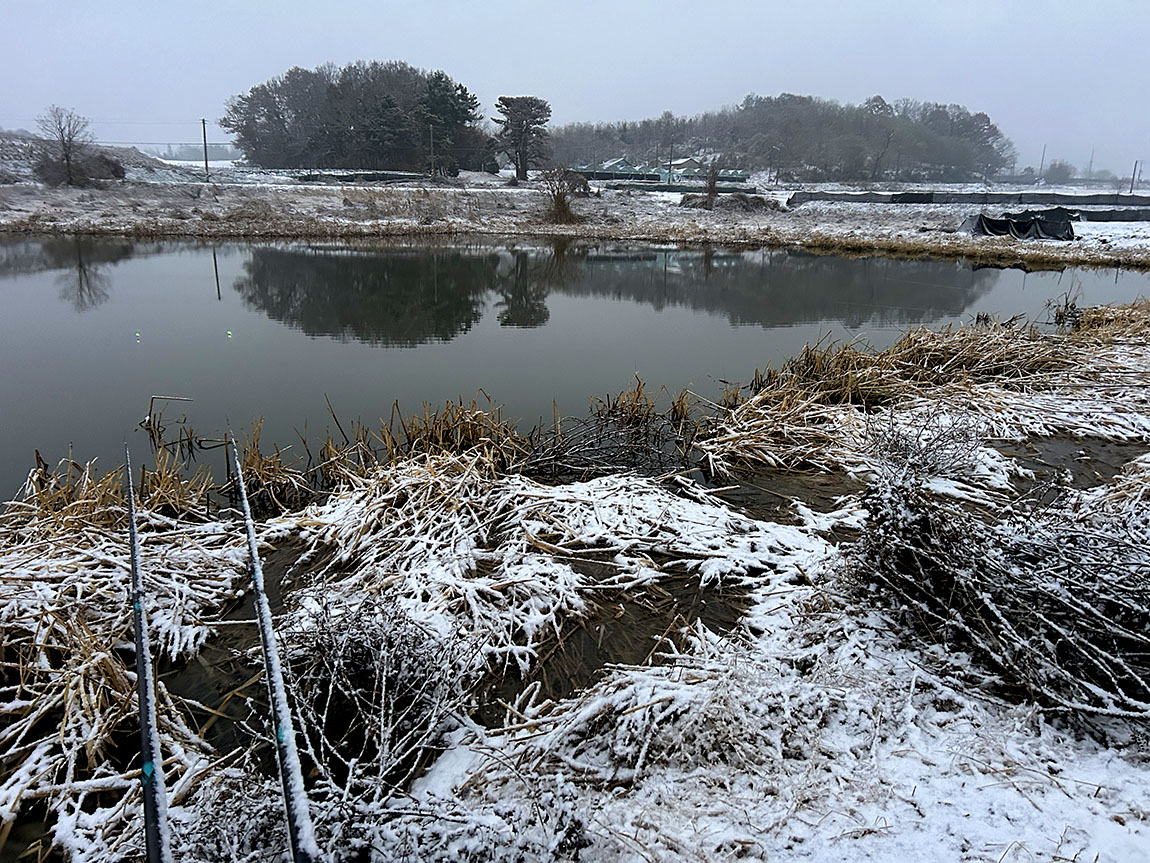 IMG_8713û1.jpg
