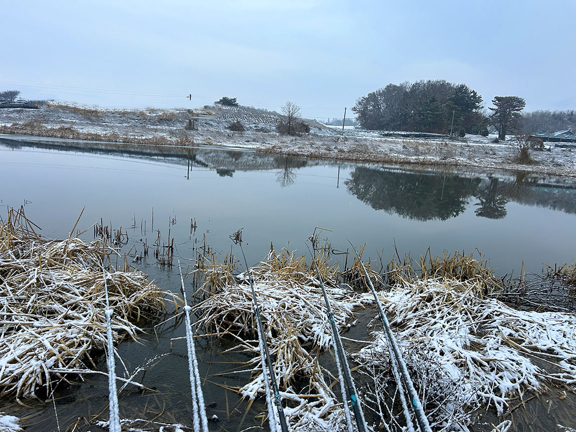 IMG_8715û1.jpg