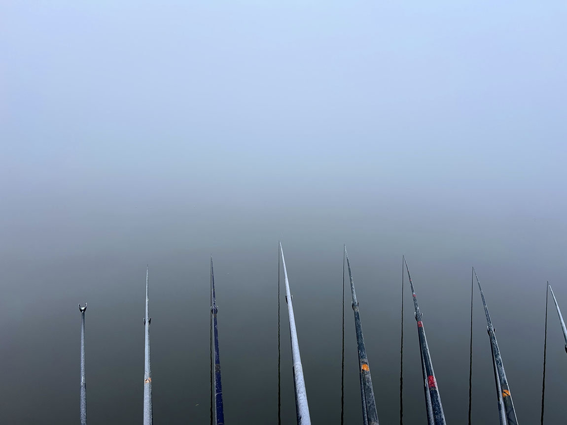 IMG_89161.jpg