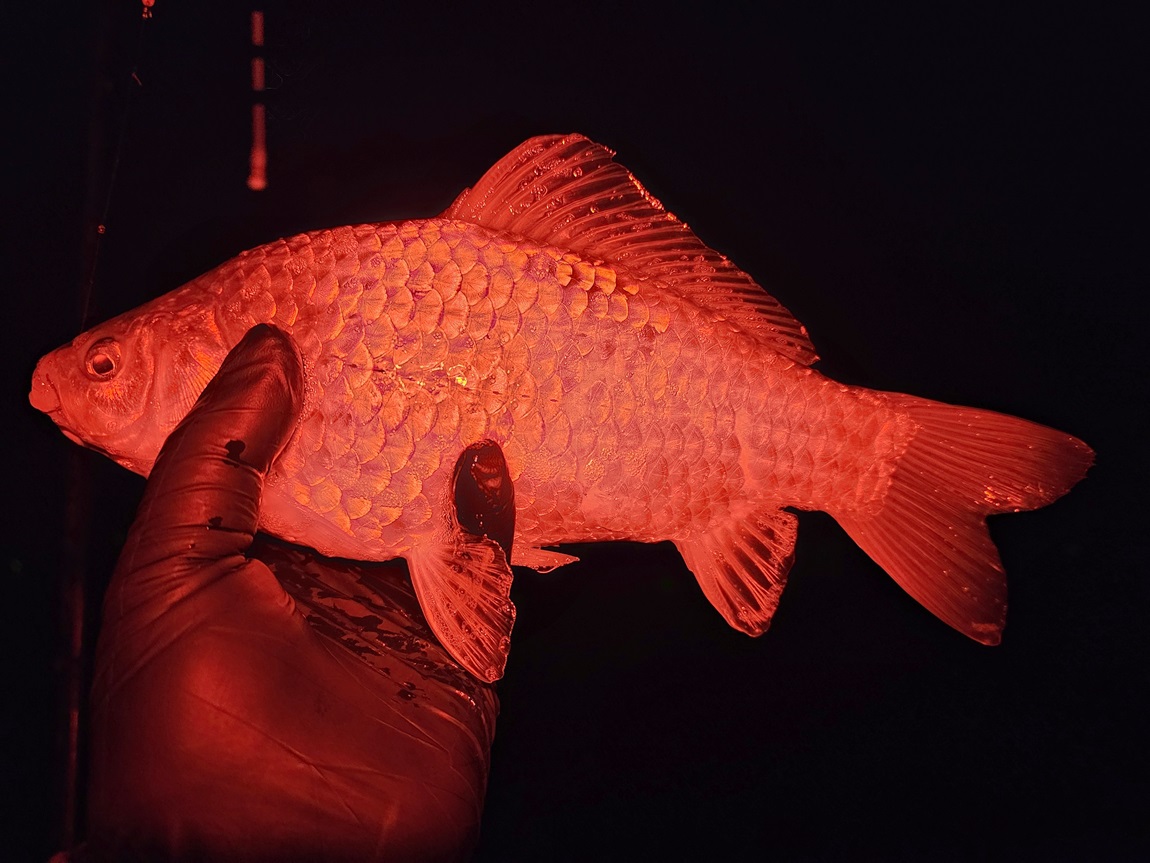 65.jpg