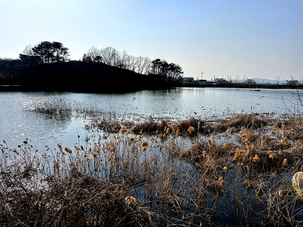 IMG_9203õ1.jpg