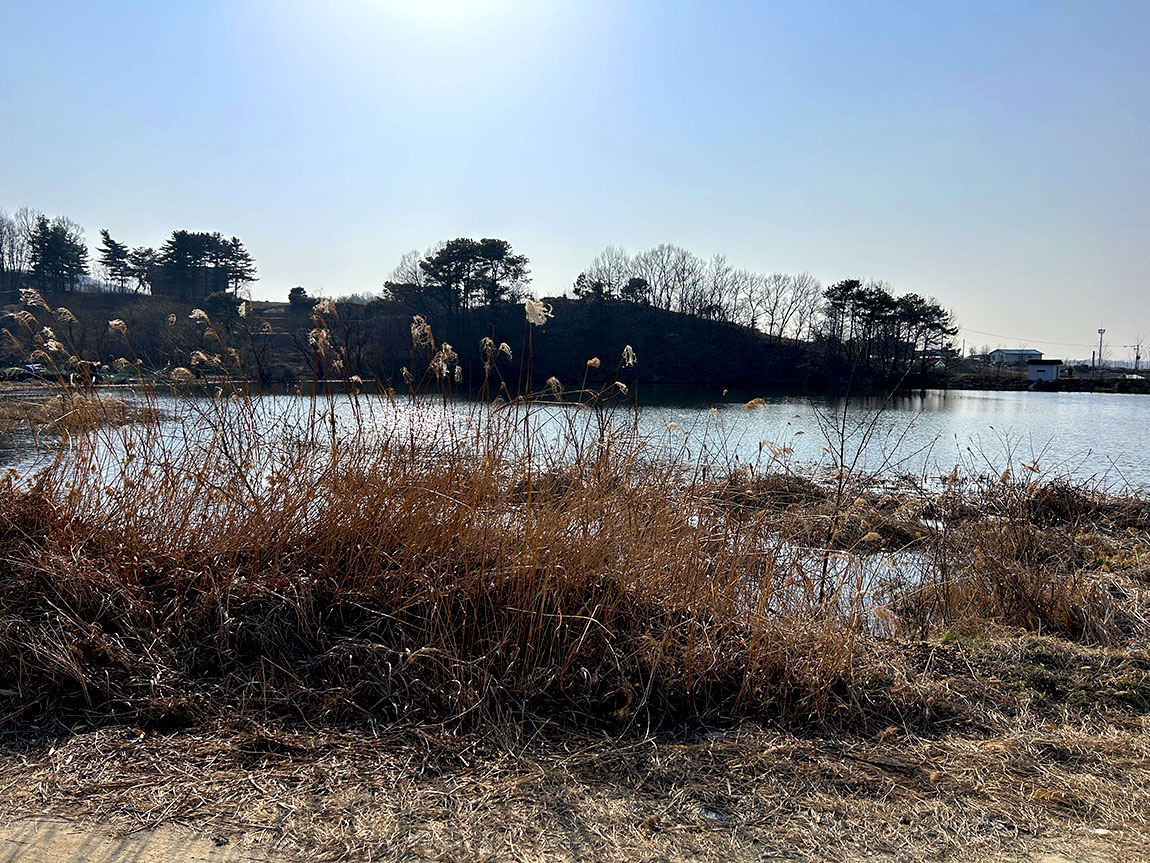 IMG_9200õ1.jpg