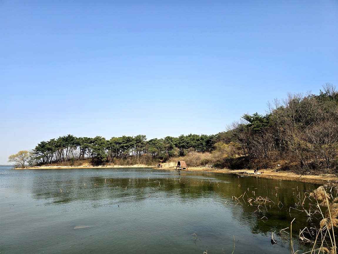 인천사랑. > 청호저수지 2차전 : 낚시사랑