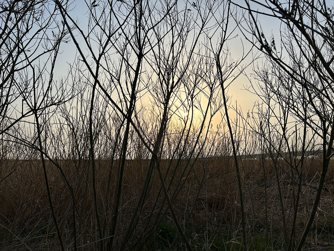IMG_93011.jpg