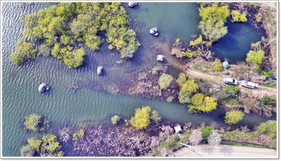 DJI_0491.JPG