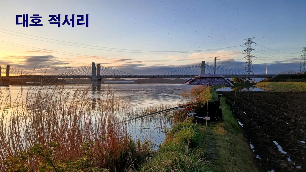 낙하산 > 낙하산의 낚시여행...(대호 적서리권) : 낚시사랑