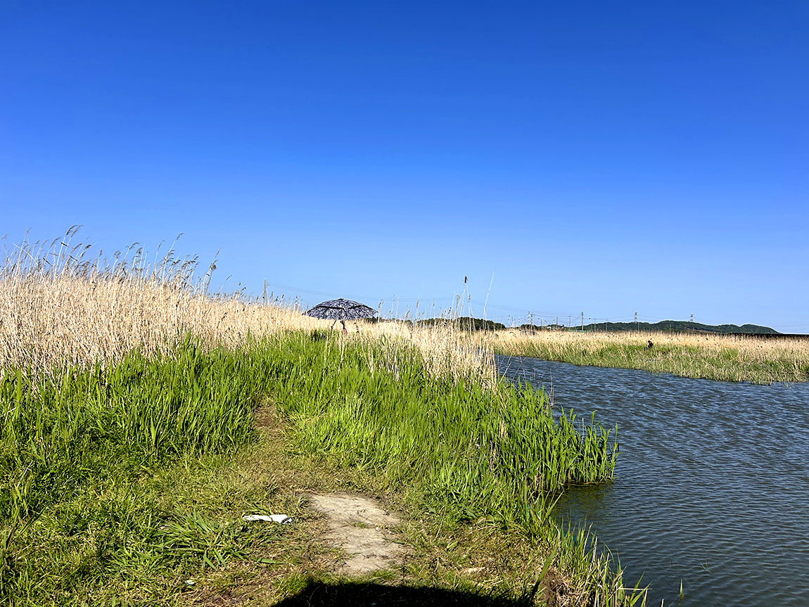 IMG_94951.jpg