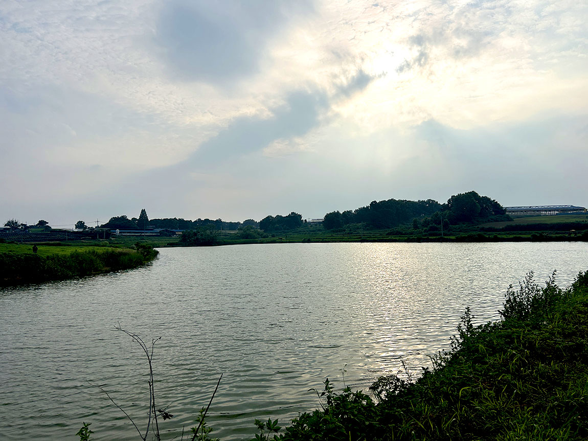 IMG_99491.jpg
