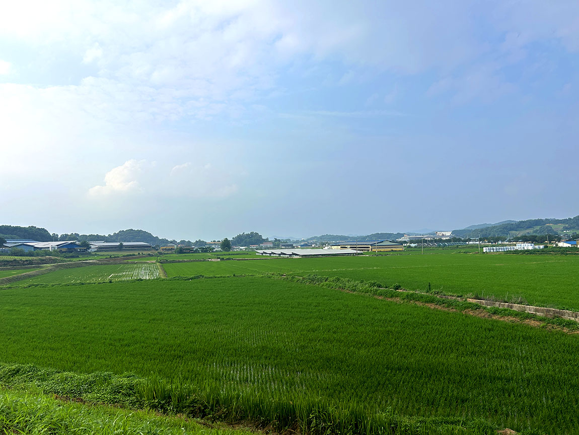 IMG_994812.jpg